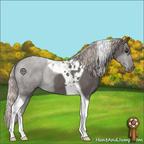 Horse Color:Silver Black Tobiano 