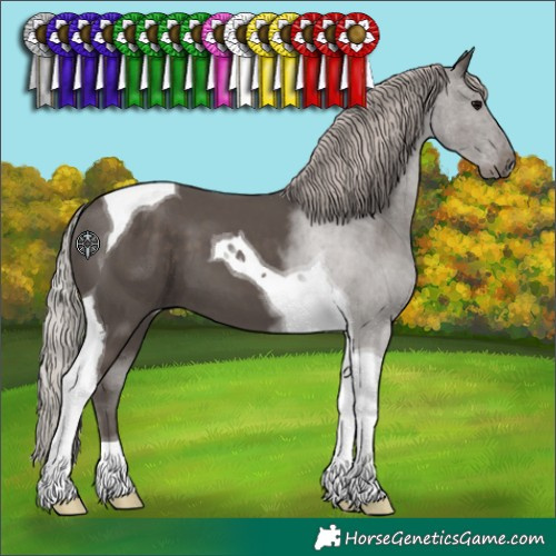 Horse Color:Silver Black Tobiano