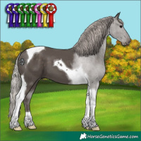 Horse Color:Silver Black Tobiano 