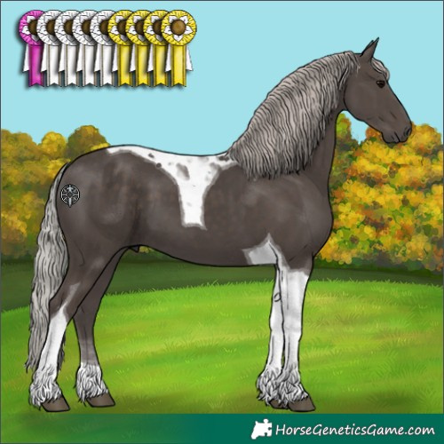 Horse Color:Silver Black Tobiano 