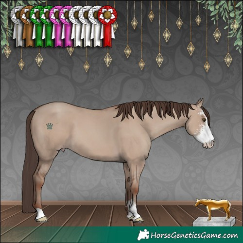 Horse Color:Classic Champagne Dun Sabino 