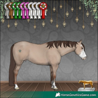 Horse Color:Classic Champagne Dun Sabino