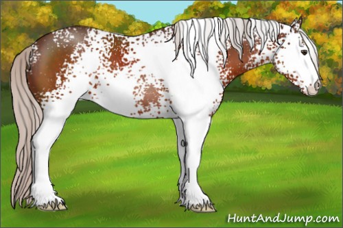 Horse Color:White Spotted Silver Brown 