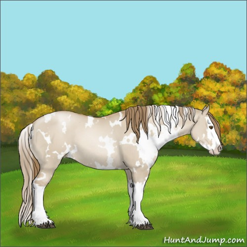 Horse Color:White Spotted Grullo Pearl Splash
