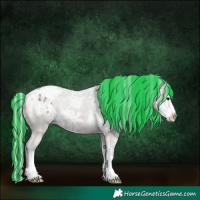 Horse Color:Painted Silver Grullo Ice Sabino Appaloosa 