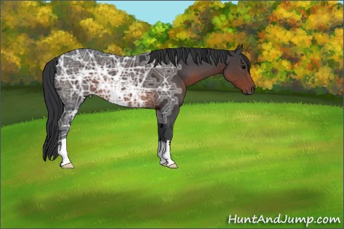 Horse Color:Brown Ice 