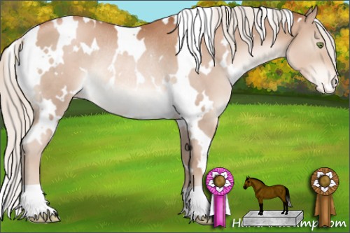Horse Color:White Spotted Silver Brown Pearl Varnish Rabicano
