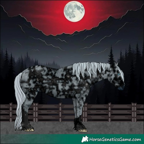 Horse Color:ERROR: UNKNOWN ANOMALY