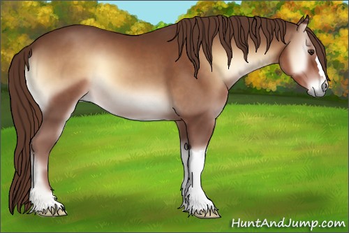 Horse Color:Red Onyx 
