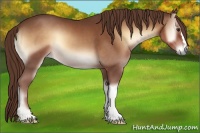 Horse Color:Red Onyx