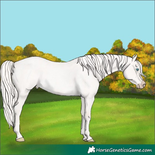 Horse Color:Cremello Roan Dun