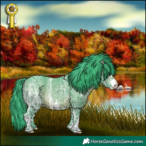 Horse Color:Watercolor White Spotted Brown Ice Rabicano 