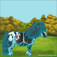 Horse Color:Thunderstruck White Spotted Black Ice Appaloosa 