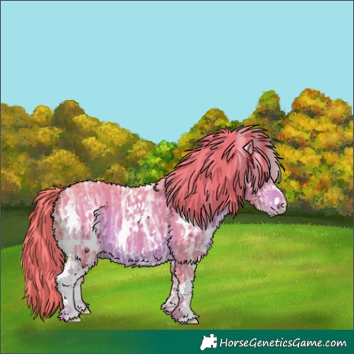 Horse Color:Watercolor White Spotted Liver Chestnut Ice 