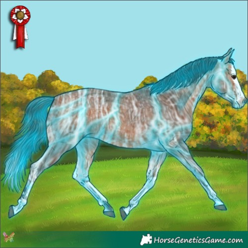 Horse Color:Thunderstruck Bay Ice Splash 