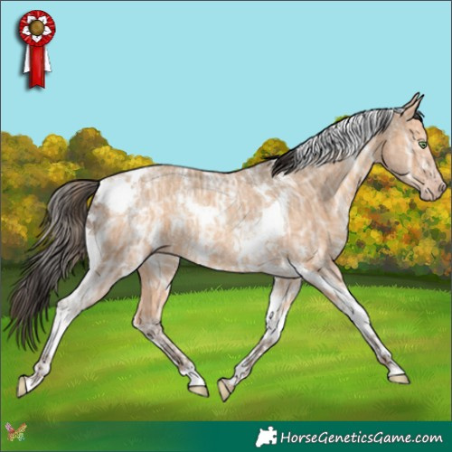 Horse Color:White Spotted Amber Champagne Ice Tobiano Rabicano 
