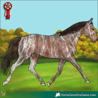 Horse Color:Liver Chestnut Ice Rabicano 
