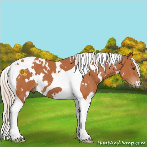 Horse Color:White Spotted Silver Bay Tobiano 