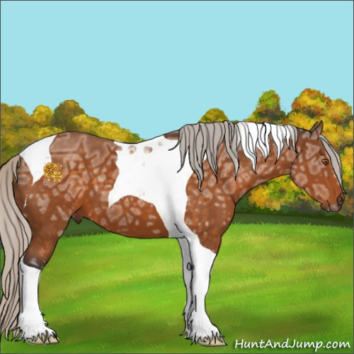 Horse Color:Silver Buckskin Ice Tobiano 