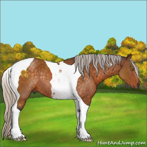 Horse Color:Silver Buckskin Tobiano Rabicano 