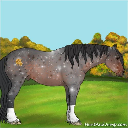 Horse Color:Brown 