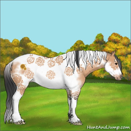Horse Color:Bay Dun Tobiano Frame Rabicano 