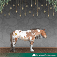 Horse Color:White Spotted Bay Appaloosa