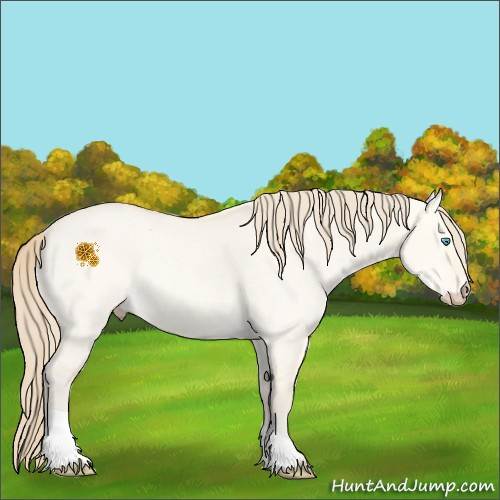 Horse Color:Perlino Dun Rabicano 