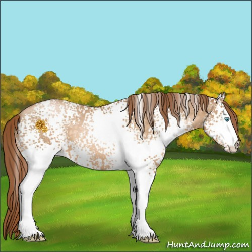 Horse Color:White Spotted Buckskin Pearl 