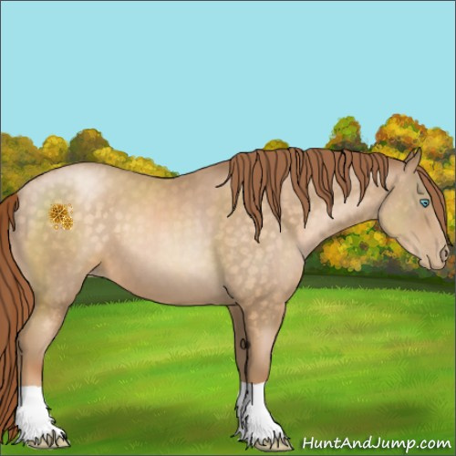 Horse Color:Buckskin Pearl 