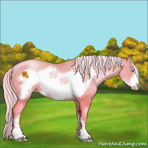 Horse Color:Gold Cream Champagne Pearl Frame 