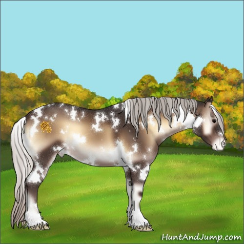 Horse Color:White Spotted Silver Brown Onyx Appaloosa 