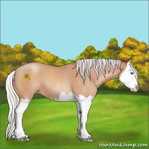 Horse Color:Silver Sable Champagne Roan Sabino Splash 