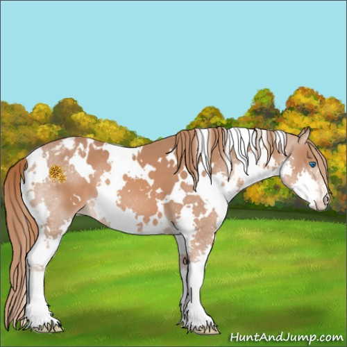 Horse Color:White Spotted Chestnut Splash Varnish 