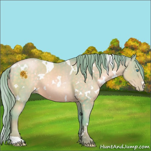 Horse Color:Watercolor White Spotted Buckskin Pearl 