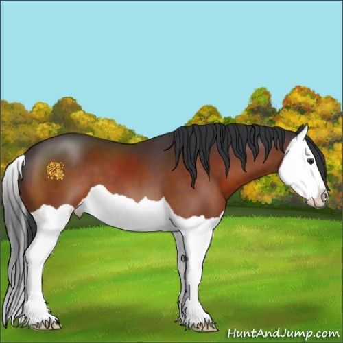Horse Color:Brown Splash 