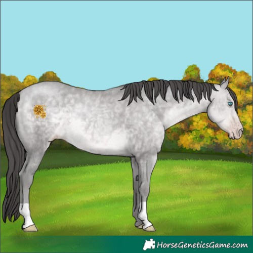 Horse Color:Platinum Sable Cream Champagne 