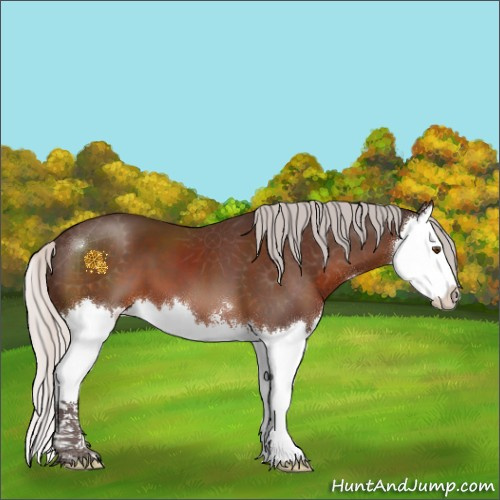 Horse Color:Silver Brown Sabino Splash 
