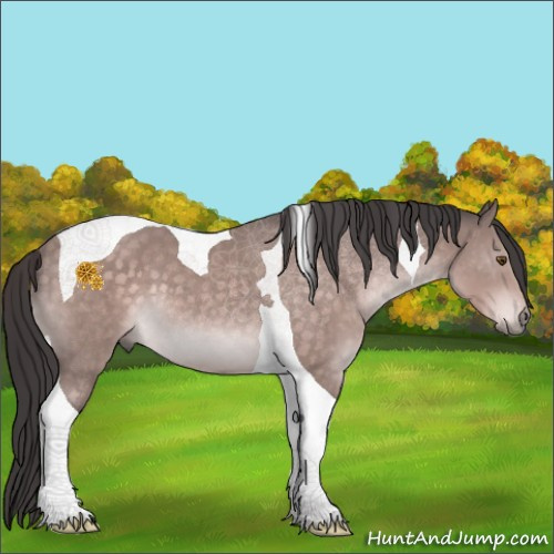 Horse Color:Platinum Buckskin Tobiano 