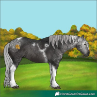 Horse Color:Gray Platinum Silver Brown Tobiano 