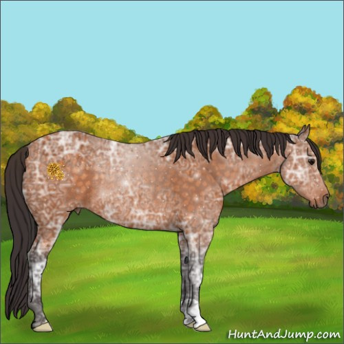 Horse Color:Buckskin Ice Rabicano 