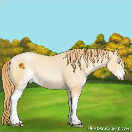 Horse Color:Buckskin Pearl Sabino 