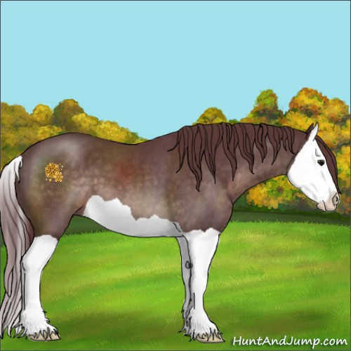 Horse Color:Platinum Chocolate Brown Splash 