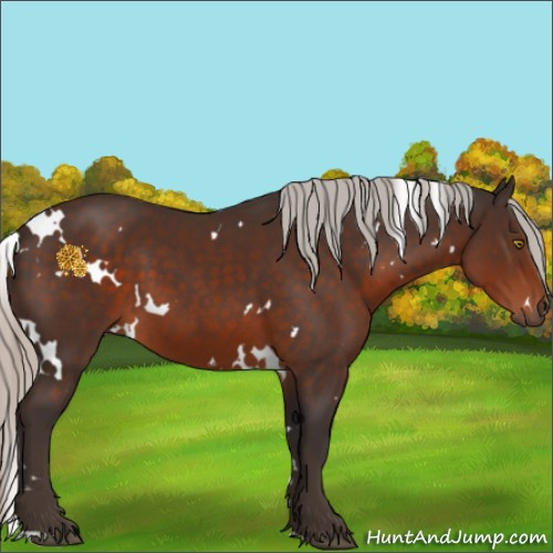 Horse Color:White Spotted Silver Brown 