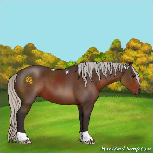 Horse Color:Silver Brown 