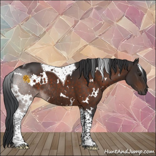 Horse Color:White Spotted Brown Tobiano Rabicano 