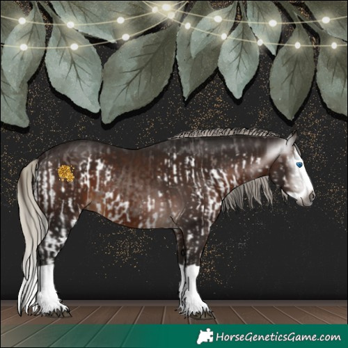 Horse Color:Gray Liver Chestnut Splash and Gray Silver Brown Splash