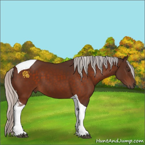 Horse Color:Silver Brown Tobiano 