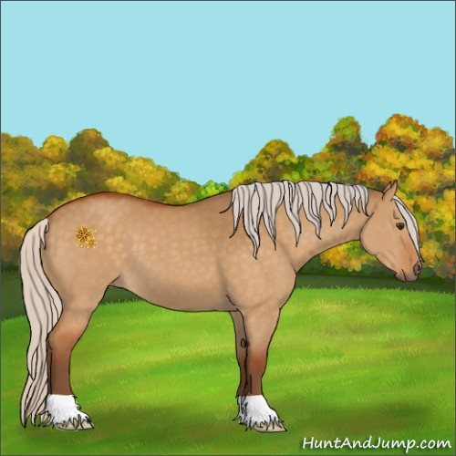 Horse Color:Silver Buckskin Dun 