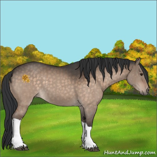 Horse Color:Brown Dun Brindle 